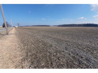 TRACTS 4-5 - MAJOR LAND AUCTION - 719+/- ACRES OFFERED IN 14 TRACTS IN ALLEN COUNTY, OHIO